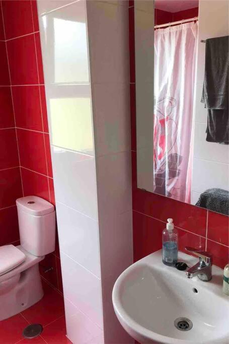 Precioso Atico Con Parking Privado. Vistas Al Rio Daire Limpias Dış mekan fotoğraf